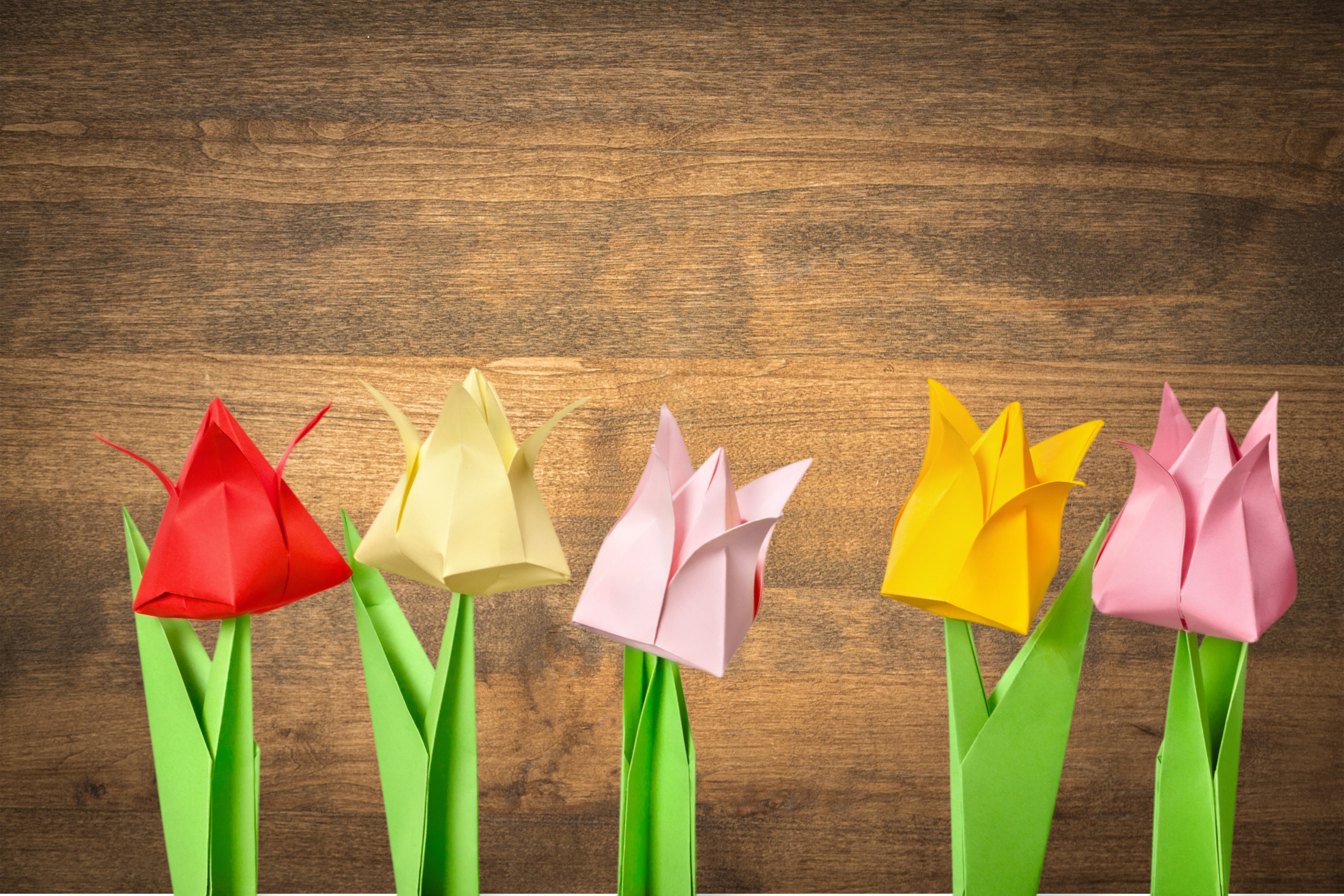 Как сделать тюльпаны из бумаги своими руками: пошаговое изготовление