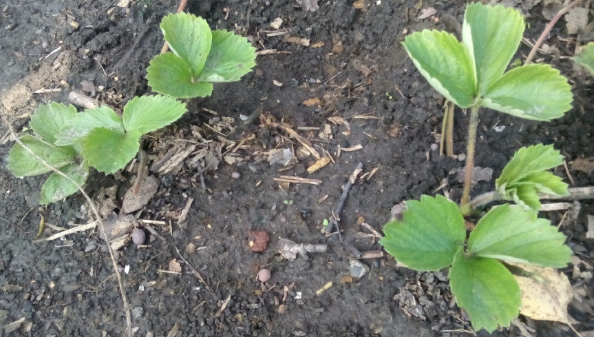 Выбор подходящего места для посадки